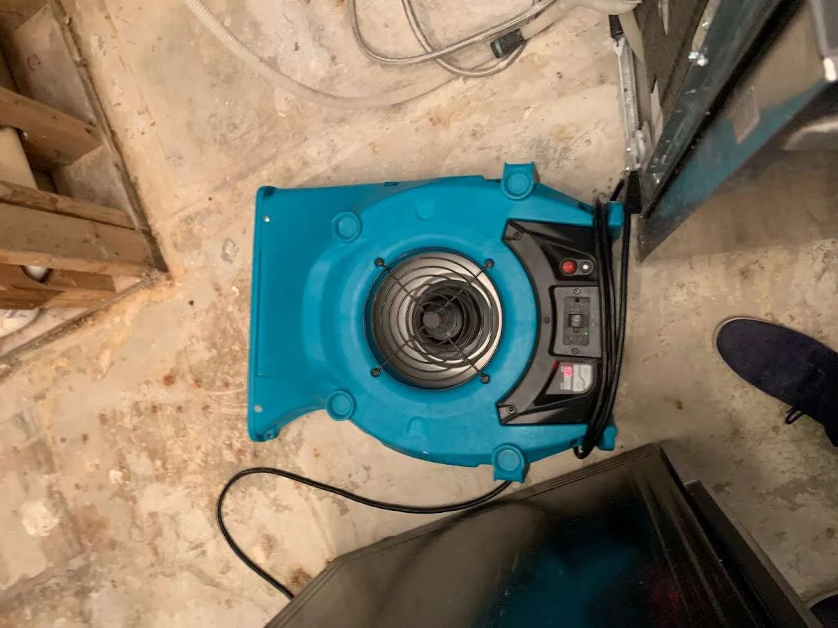 Air mover drying equipment for Mold Remediation & Removal in Pleasant View